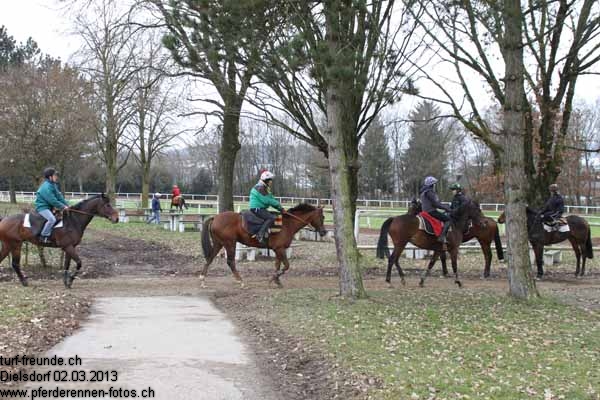 IMG 0057 prot